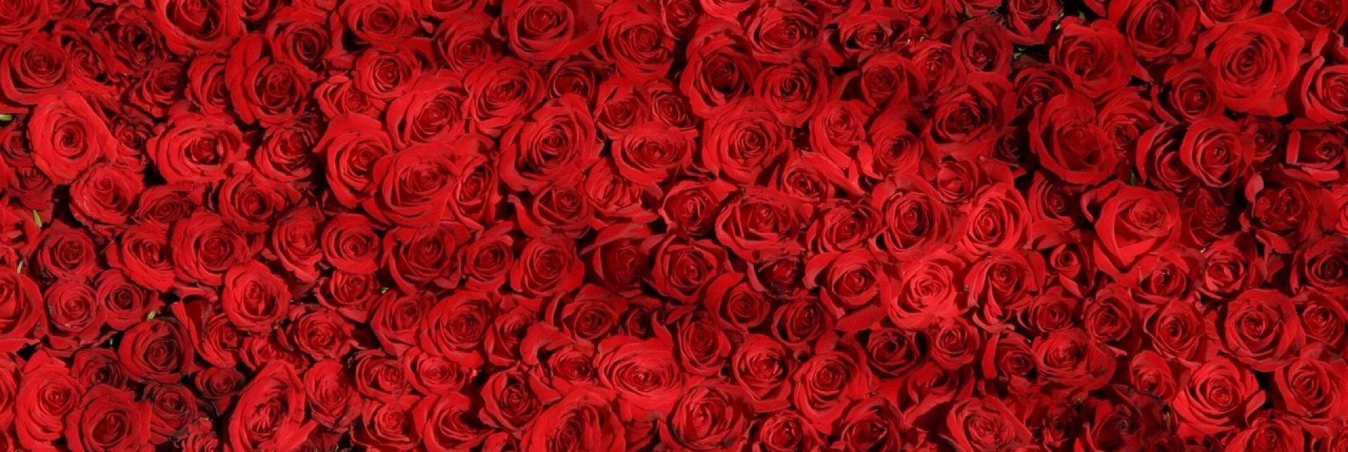 Romantický pobyt - Postel s nebesy plná růží